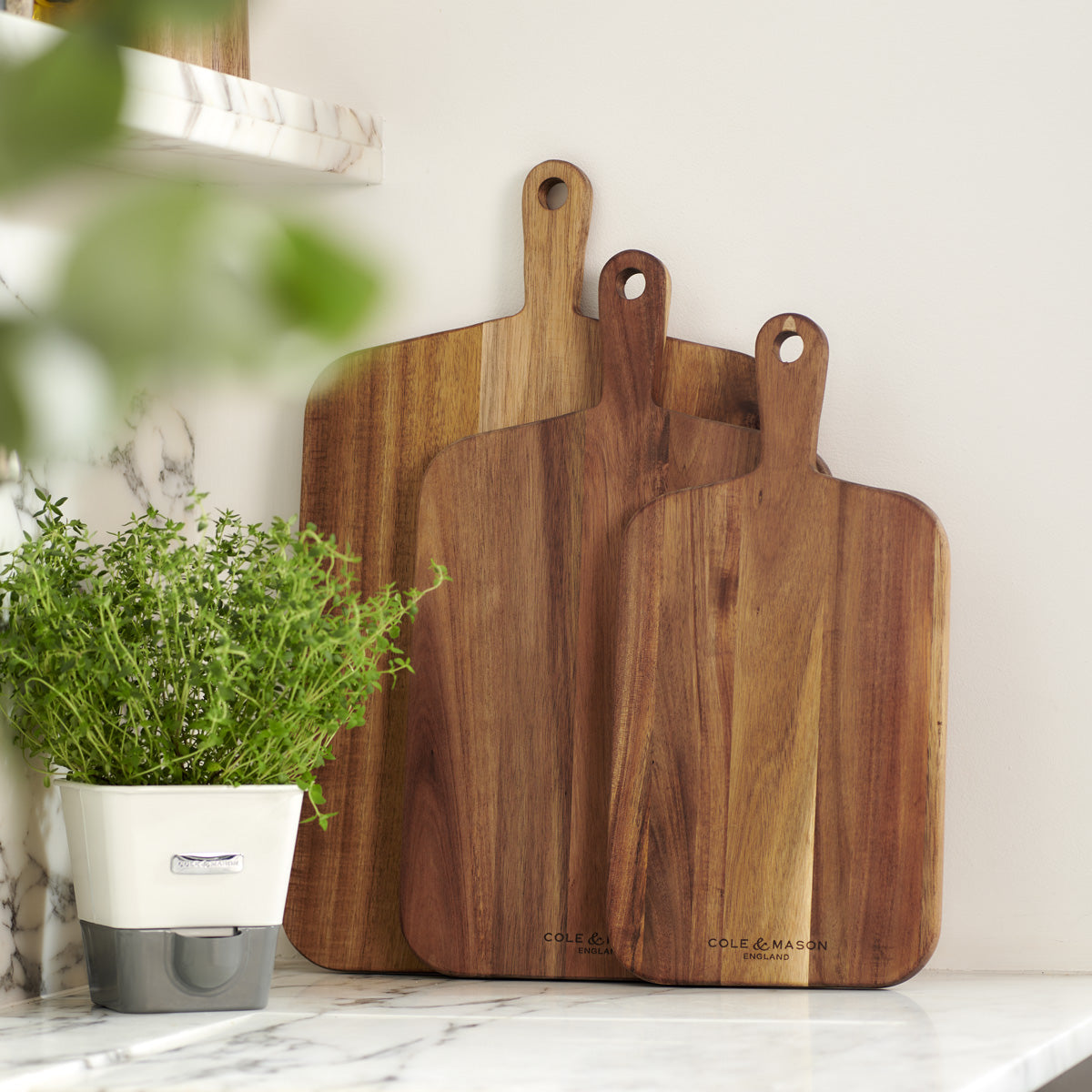 Three wooden cutting boards of different sizes stand upright against a white kitchen wall on a marble countertop, next to a potted herb plant in a white pot.