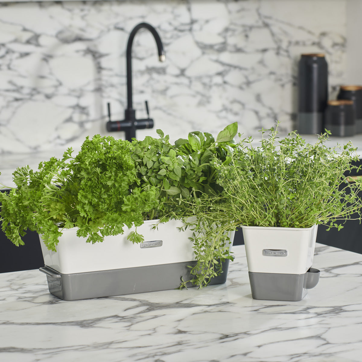 Two white and gray planters with fresh green herbs sit on a marble kitchen countertop. A black sink faucet and blurred kitchen items are visible in the background.